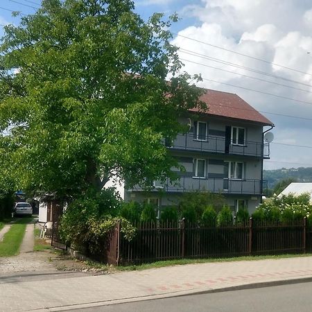 Hotel Pokoje Roznow Esterno foto