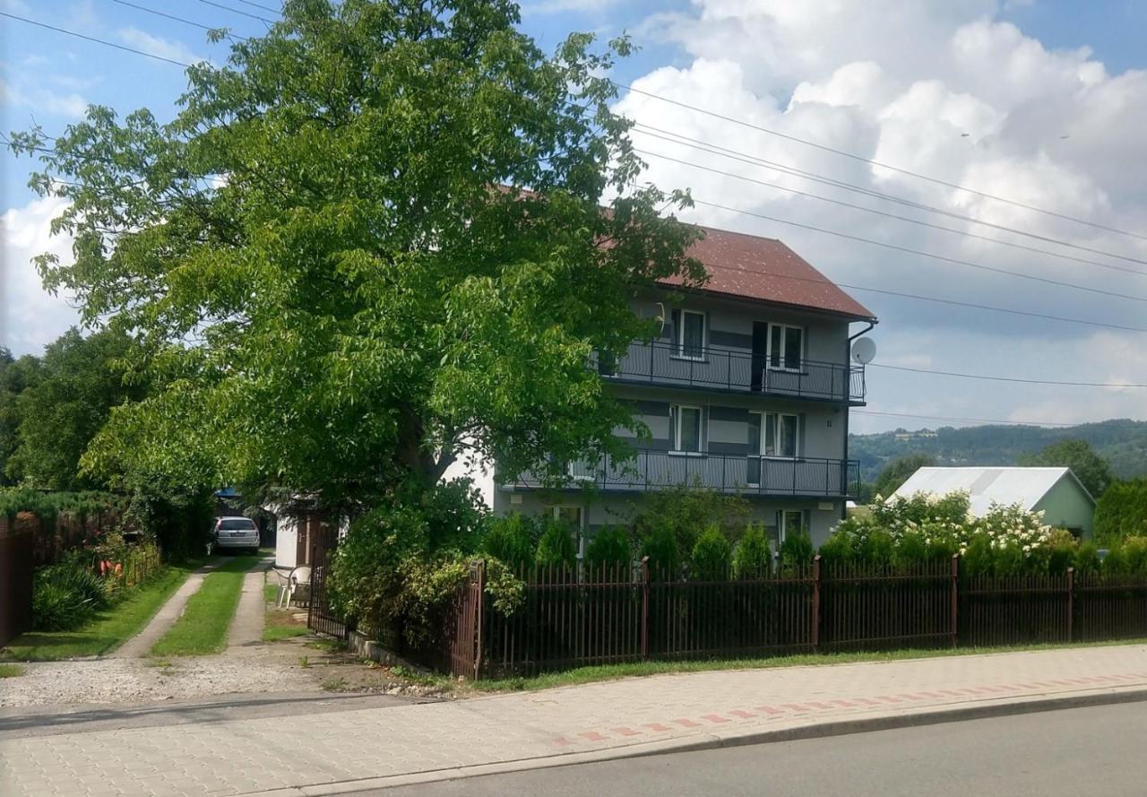 Hotel Pokoje Roznow Esterno foto